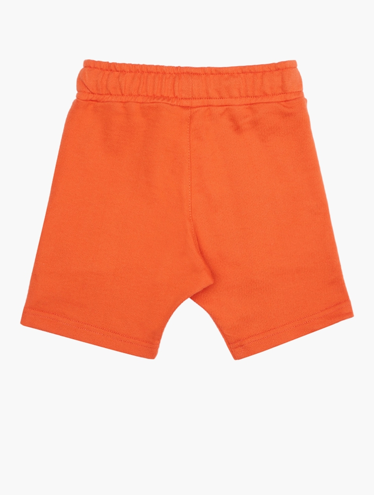 HOL_HBB056_FLATORANGE|2