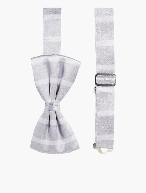 Bolongaro Trevor Neutral Stripe Bow Tie