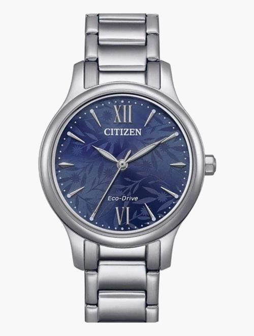 Citizen Silver & Navy Steel Eco-Drive Watch