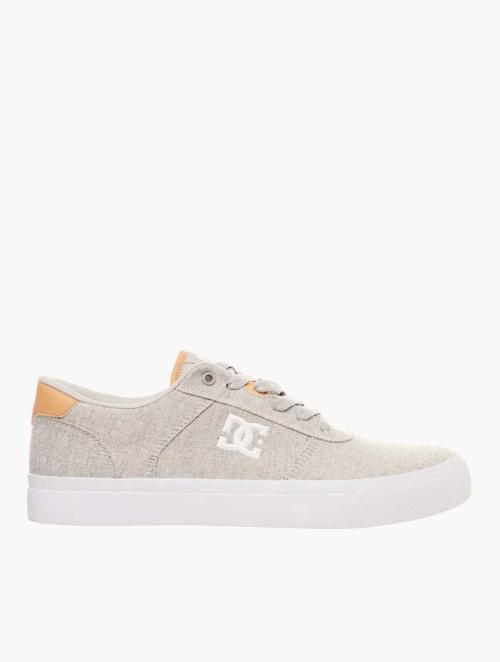 DC Shoes Light Grey Teknic Tx Se Shoes