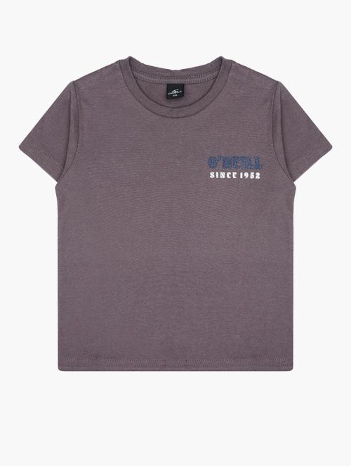 O'Neill Huckle Berry Grahic T-Shirt