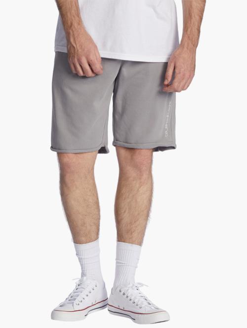 Quiksilver Grey Relaxed Shorts