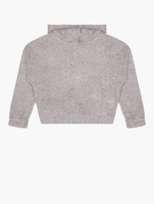 RFO Grey Melange Cut&Sew Basic Hoody