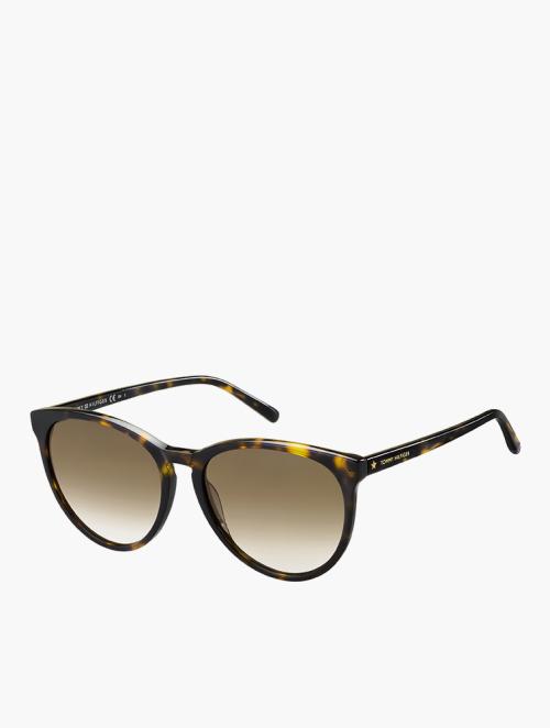 Tommy Hilfiger Brown Havana Cat-Eye Sunglasses