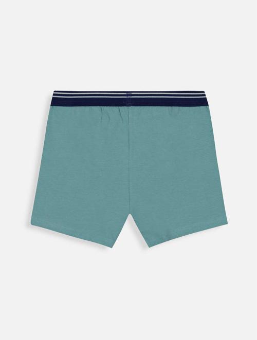 Woolworths Multi Plain Cotton Rich Trunks 3 Pack