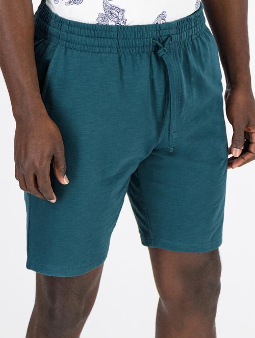 Woolworths Teal Slim Fit Cotton Fleece Shorts