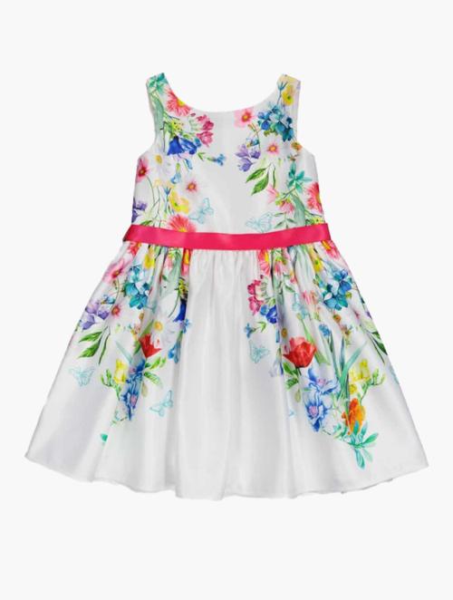 Woolworths Multi Floral Print Dress