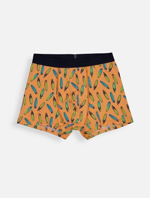 Woolworths Multi Surfers Point Cotton Trunks 3 Pack